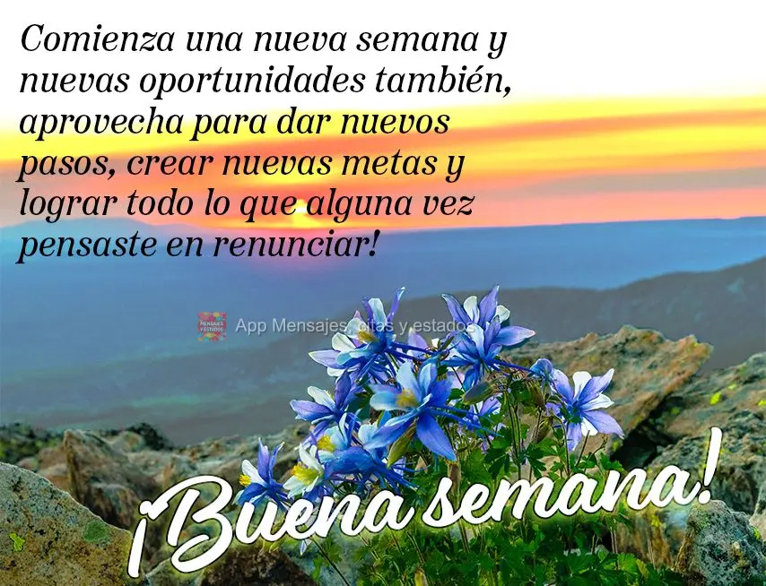 Uma nova semana se inicia e novas oportunidades também, aproveite para dar novos passos, criar novas metas e realizar tudo aquilo que um dia você penso...