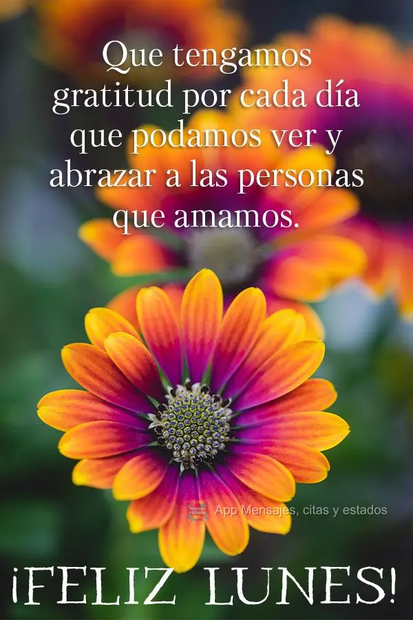 Que tengamos gratitud por cada día que podamos ver y abrazar a las personas que amamos. ¡Feliz lunes!
