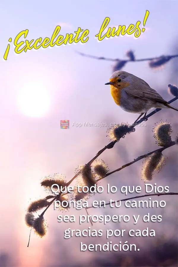 Que todo lo que Dios ponga en tu camino sea prospero y des gracias por cada bendición. ¡Excelente lunes!