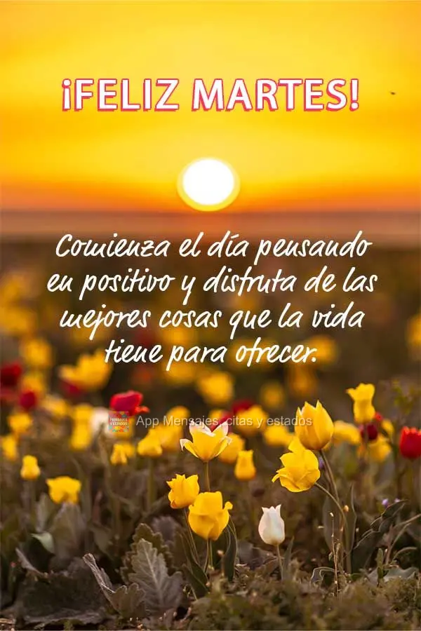 Comienza el día pensando en positivo y disfruta de las mejores cosas que la vida tiene para ofrecer. ¡Feliz martes!
