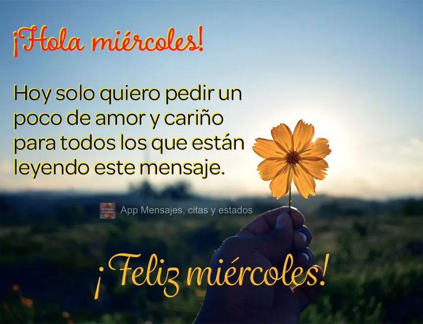 ¡Hola miércoles! Hoy solo quiero pedir un poco de amor y cariño para todos los que están leyendo este mensaje. ¡Feliz miércoles!