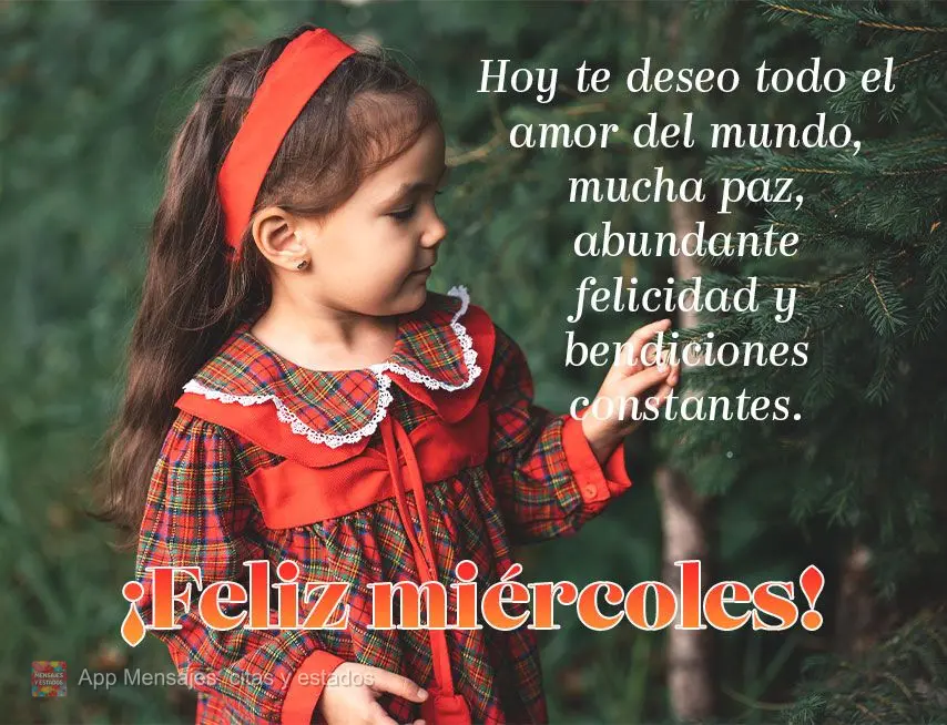 Hoy te deseo todo el amor del mundo, mucha paz, abundante felicidad y bendiciones constantes. ¡Feliz miércoles!