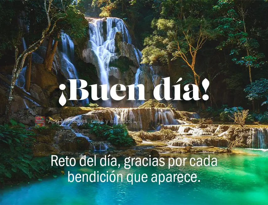 Desafio do dia, agradecer por cada bênção que aparecer. Bom dia! 