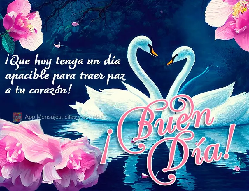 Que hoje tenha um dia tranquilo para trazer paz para o seu coração! Bom dia