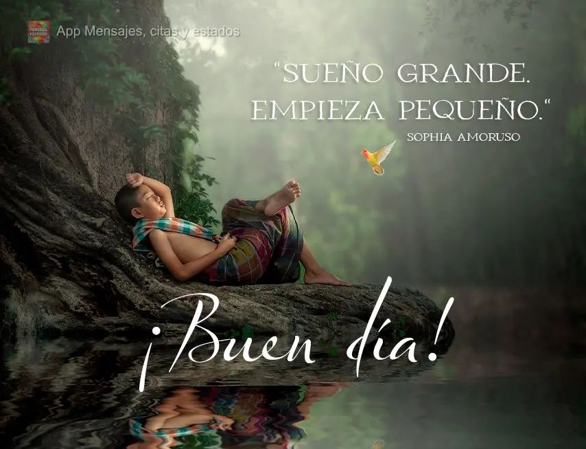 “Sonhe grande. Comece pequeno.”  Bom dia! Sophia Amoruso