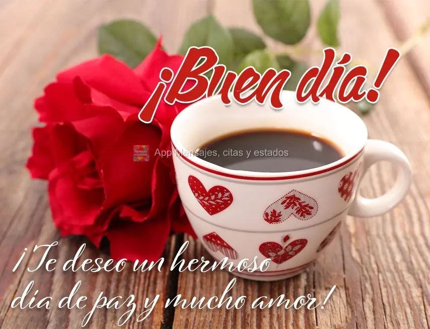 Desejo um lindo dia de paz e muito amor! Bom dia! 