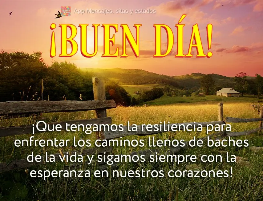 Que tenhamos resiliência para enfrentar as estradas esburacadas da vida e continuar sempre com esperança no coração! Bom dia!