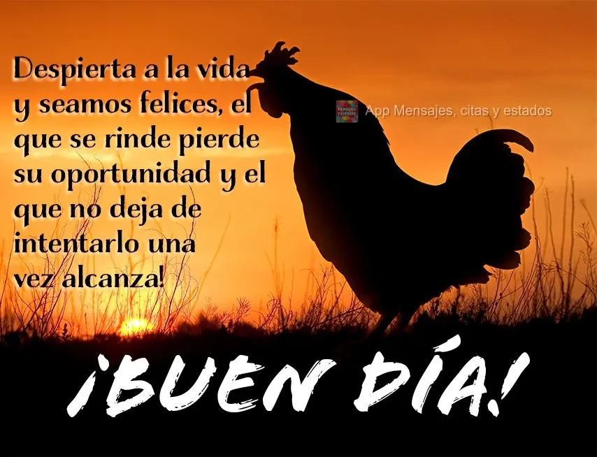 Despierta a la vida y seamos felices, el que se rinde pierde su oportunidad y el que no deja de intentarlo una vez alcanza! ¡Buen día!