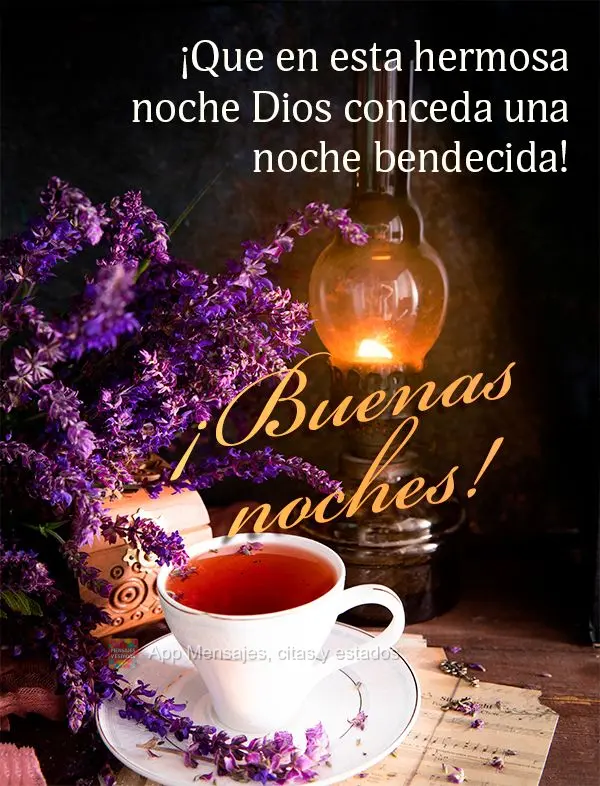 Que nesta linda noite Deus conceda uma noite abençoada! Boa noite!
