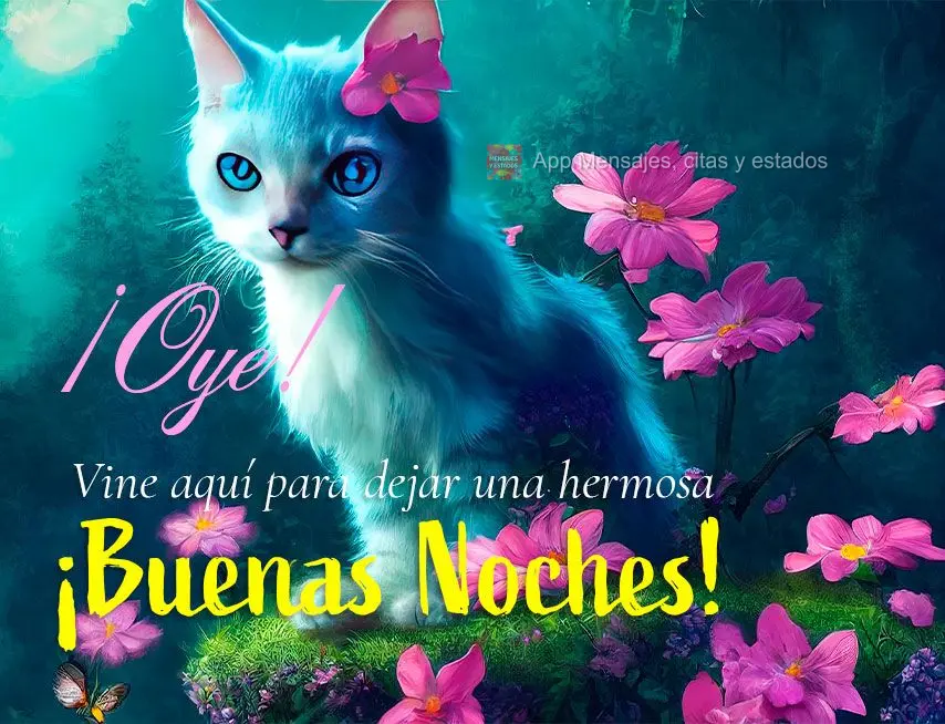 Oi! Passei aqui pra deixar um lindo  Boa noite!