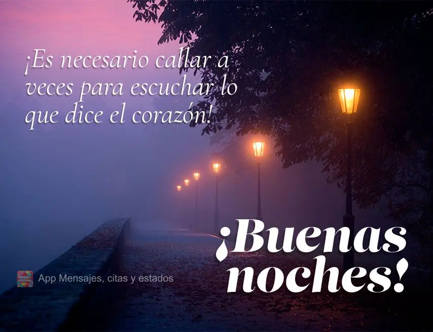 É necessário que se faça silêncio às vezes para ouvir o que diz o coração! Boa noite!