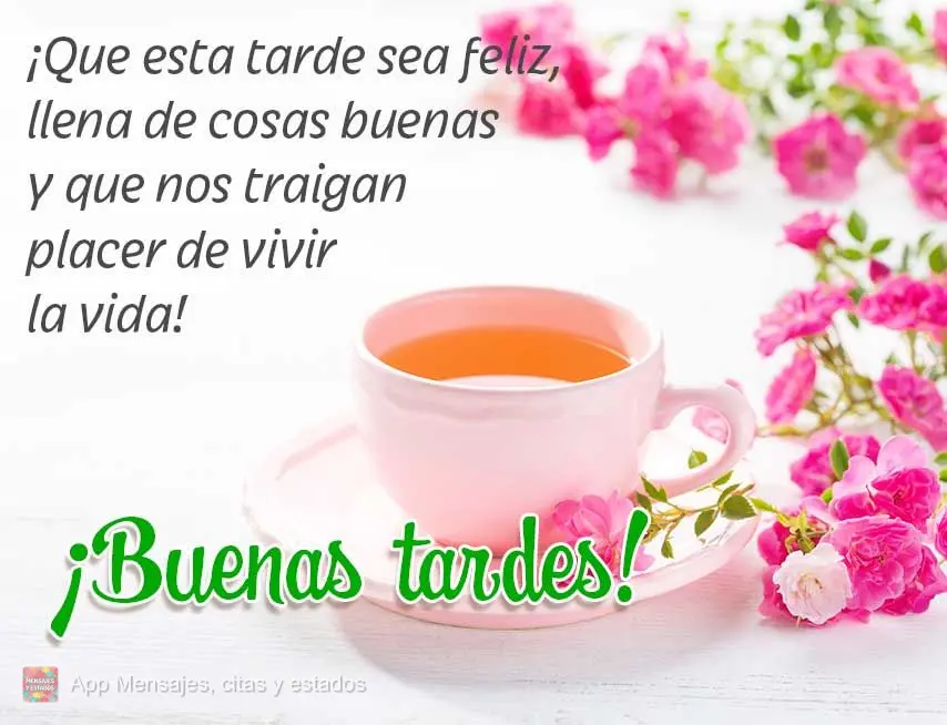 Que seja feliz essa tarde, cheia de coisas boas e que nos trazem prazer em viver a vida! Boa tarde!