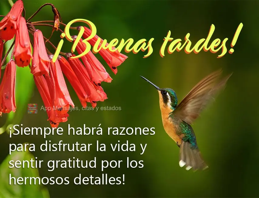 Sempre haverá motivos para apreciar a vida e sentir gratidão pelos lindos detalhes! Boa tarde!