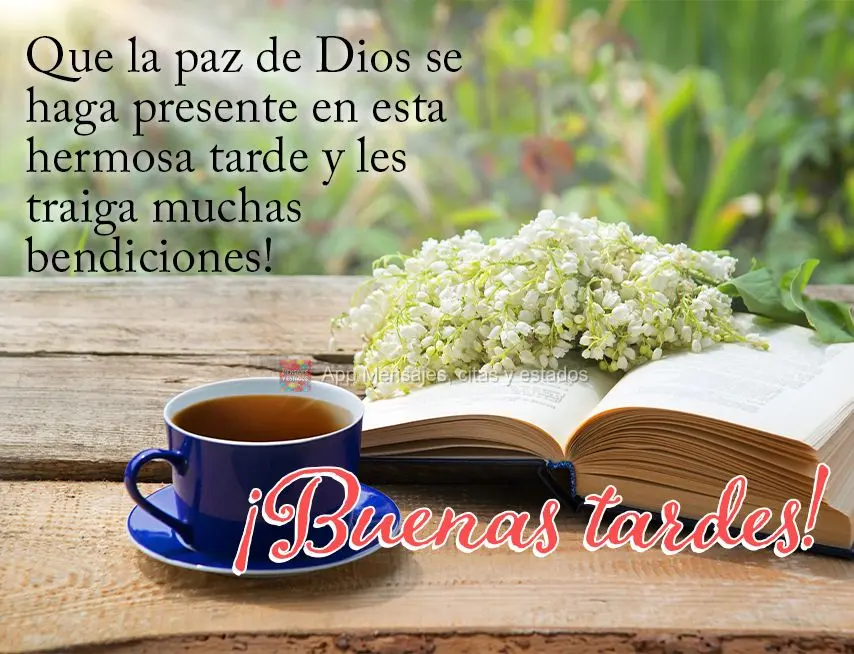 Que a paz de Deus se faça presente nesta linda tarde e lhe traga muitas bênçãos! Boa tarde! 