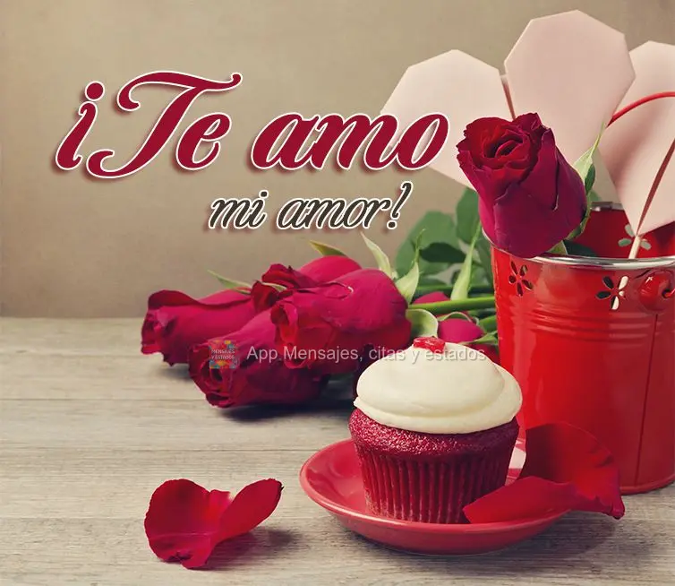¡Te amo mi amor!