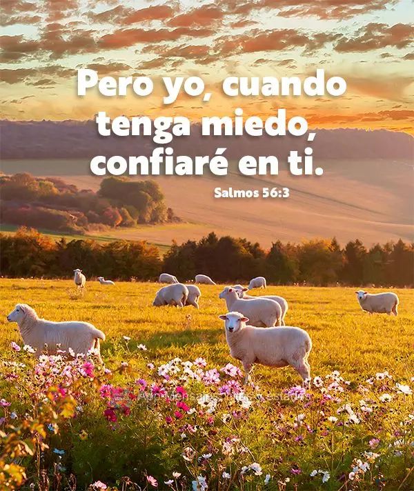  Pero yo, cuando tenga miedo, confiaré en ti. Salmos 56:3