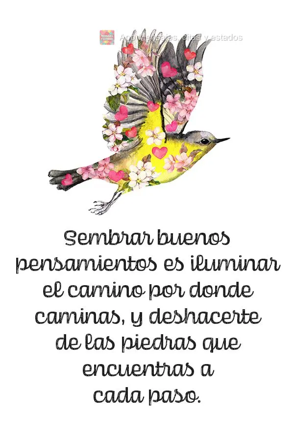 Sembrar buenos pensamientos es iluminar el camino por donde caminas, y deshacerte de las piedras que encuentras a cada paso.