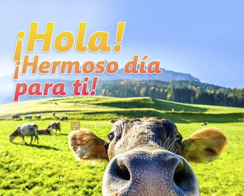 ¡Hola! ¡Hermoso día para ti!