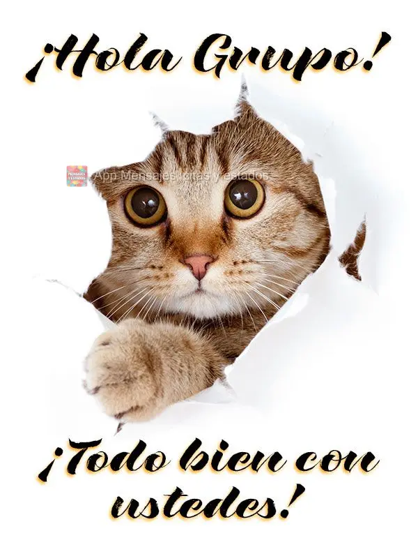 ¡Hola Grupo! ¡Todo bien con ustedes!