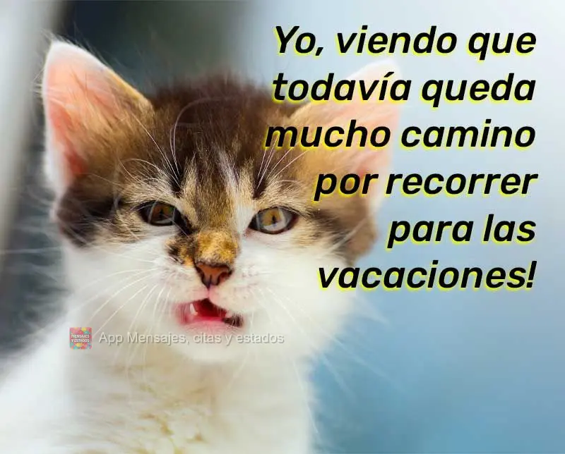 Yo, viendo que todavía queda mucho camino por recorrer para las vacaciones!