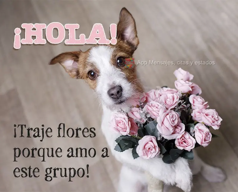 ¡Hola! ¡Traje flores porque amo a este grupo!