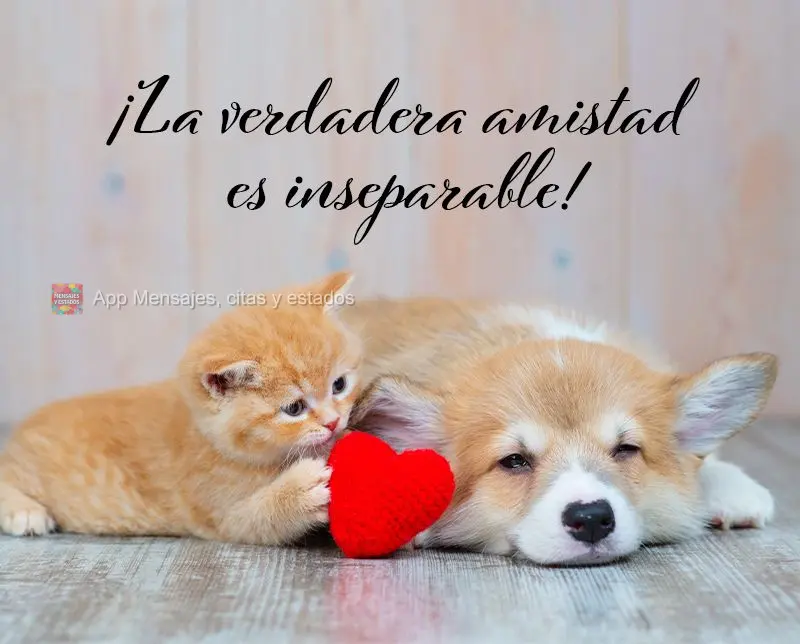 A amizade verdadeira é inseparável!