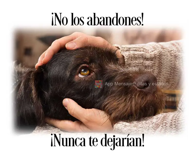 Não os abandone! Eles jamais te abandonariam!