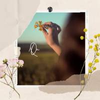 Que reine a paz em seu dia! Bom dia!