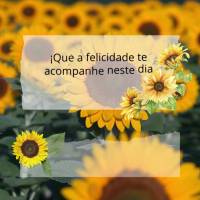 Que a felicidade te acompanhe neste dia abençoado! Bom dia!