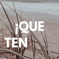 Tenha uma linda manhã! Bom dia!