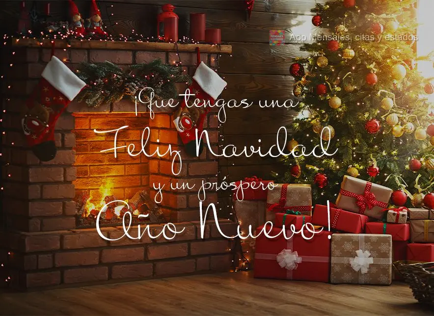 ¡Que tengas una Feliz Navidad y un próspero Año Nuevo!