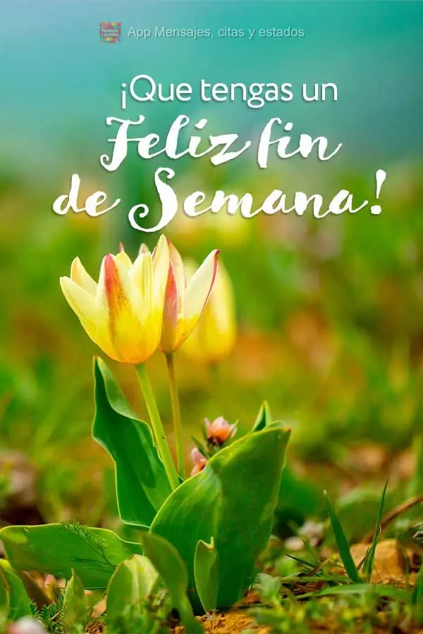 ¡Que tengas un feliz fin de semana!