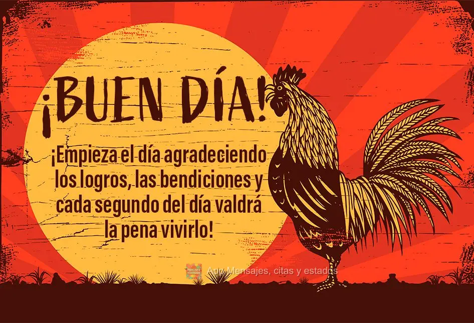 Comece o dia agradecendo pelas conquistas, pelas bênçãos e cada segundo do dia valerá a pena ser vivido! Bom dia!