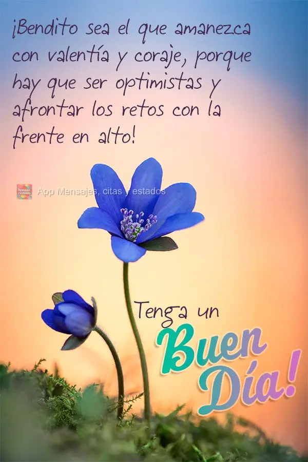 Bendito seja quem acorda com bravura e coragem, porque devemos ser otimistas e enfrentar os desafios de cabeça erguida!  Tenha um Bom dia!