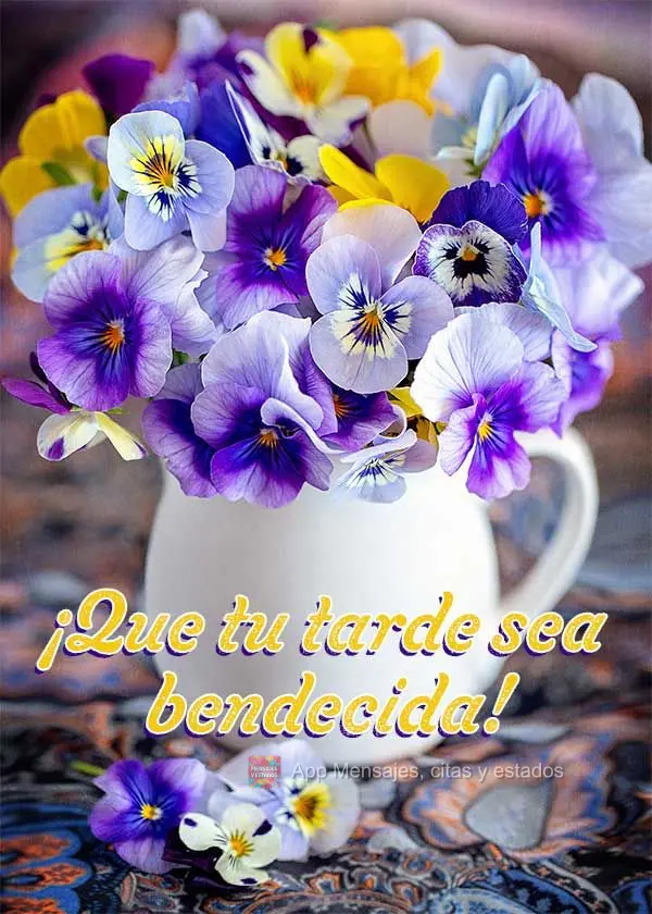 Que seja abençoada a sua tarde!