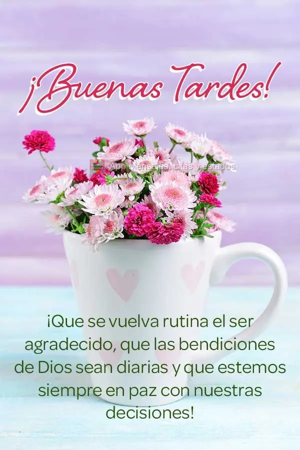 Que vire rotina ser grato, que seja diária as bênçãos de Deus e que estejamos sempre em paz com nossas decisões! Feliz tarde