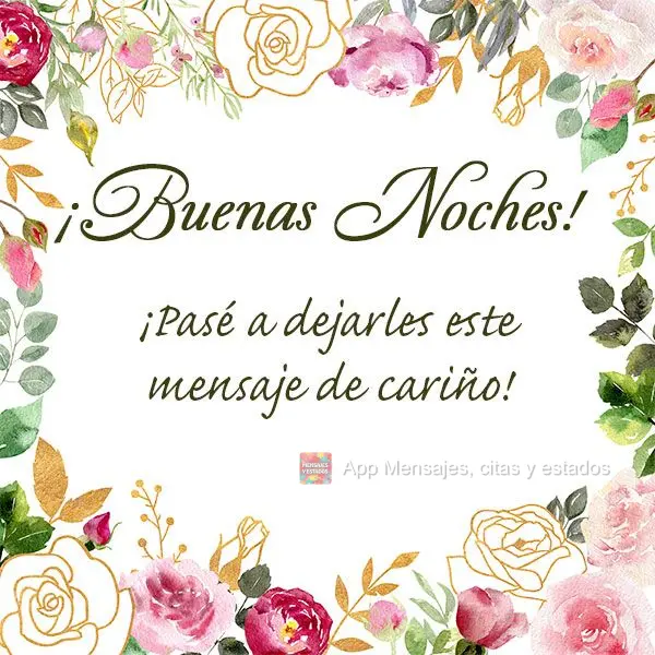 Passei aqui pra te deixar essa mensagem de carinho! Boa noite!