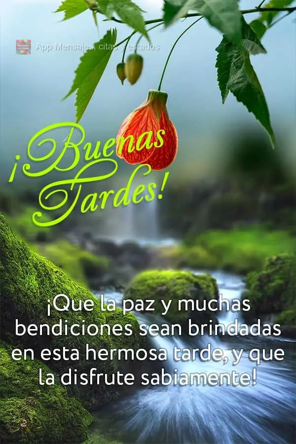 Que seja providenciada a paz e muitas bênçãos nesta linda tarde, e que você aproveite com sabedoria! Boa tarde!