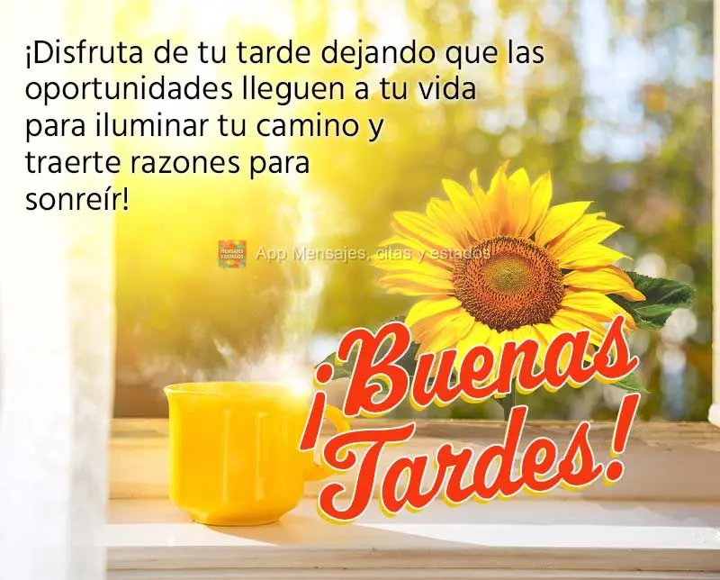 Aproveite a sua tarde deixando que as oportunidades entrem na sua vida para iluminar o seu caminho e lhe trazer motivos para sorrir! Boa tarde! 