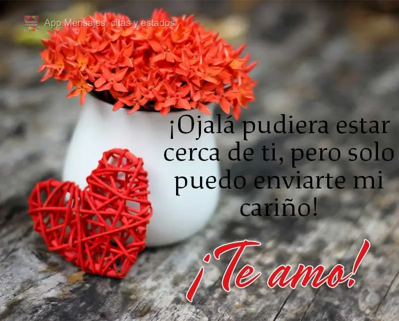 ¡Ojalá pudiera estar cerca de ti, pero solo puedo enviarte mi cariño! ¡Te amo!
