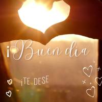 Desejo um dia cheio de amor, paz e gratidão! Bom dia! 