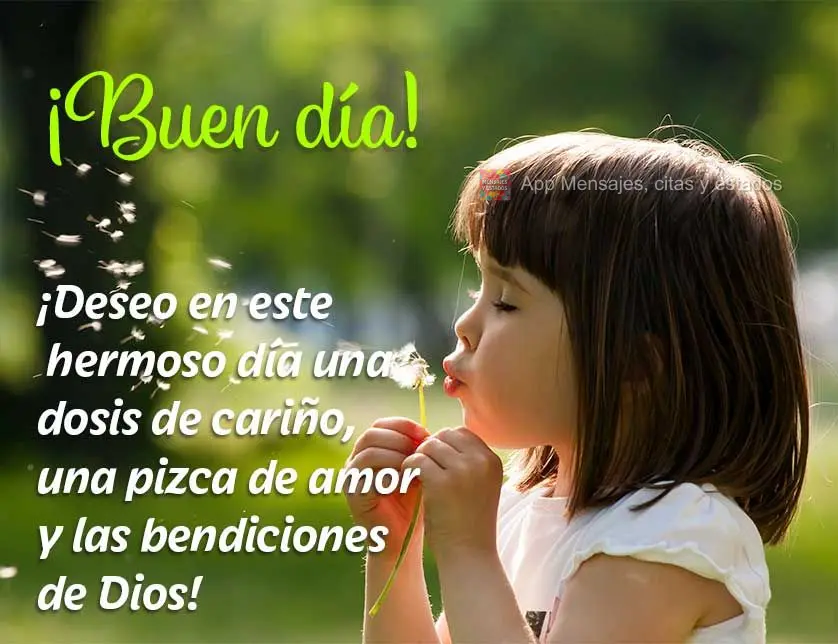 Desejo neste lindo dia uma dose de carinho, um pitada de amor e as bênçãos de Deus! Bom dia!