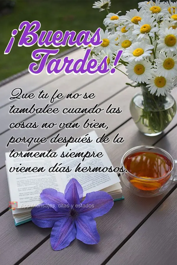 Que a sua fé não se abale quando as coisas não estiverem bem, porque dias bonitos sempre vem depois da tempestade.  Boa tarde!