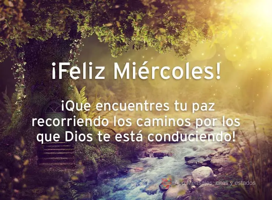 Que você encontre a sua paz trilhando os caminhos em que Deus está te guiando! Feliz Quarta-feira!