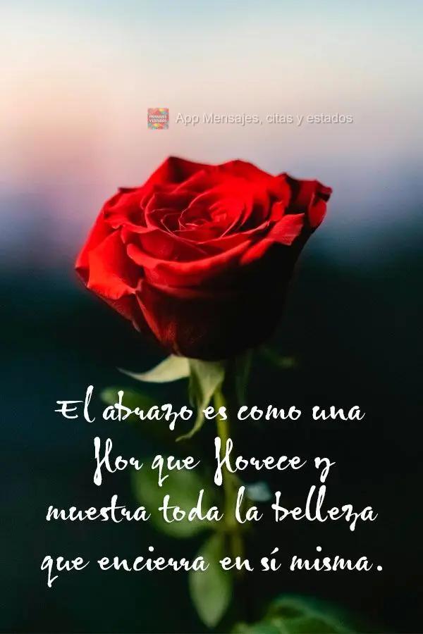 O abraço é como uma flor que floresce e mostra toda a beleza que guarda dentro de si.