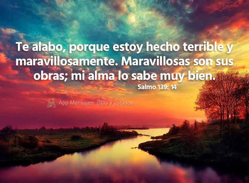 Te alabo, porque estoy hecho terrible y maravillosamente. Maravillosas son sus obras; mi alma lo sabe muy bien. Salmo 139:14