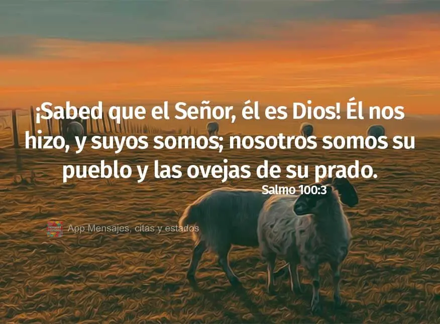¡Sabed que el Señor, él es Dios! Él nos hizo, y suyos somos; nosotros somos su pueblo y las ovejas de su prado. Salmo 100:3
