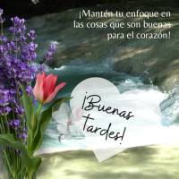 Mantenha seu foco nas coisas que fazem bem ao coração! Boa tarde! 