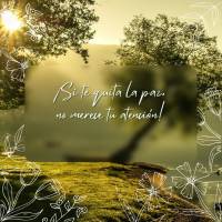 Se tira a sua paz não merece a sua atenção! Boa tarde! 