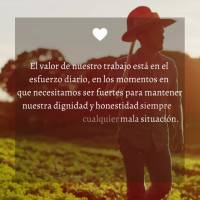 O valor do nosso trabalho está no esforço diário, nas vezes em que precisamos ser fortes para manter nossa dignidade e honestidade sempre à frente de...